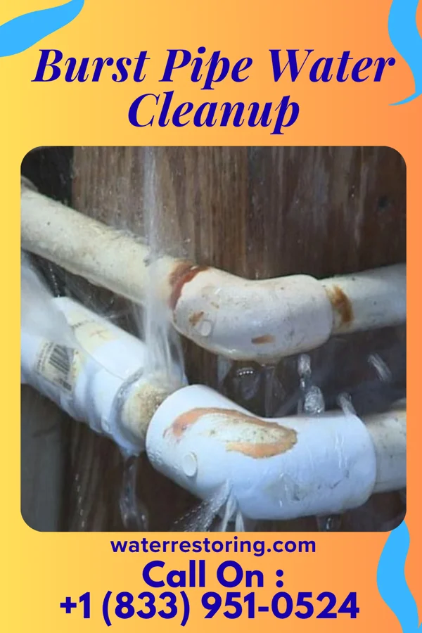 Burst Pipe Water Cleanup in Crescent City, IL