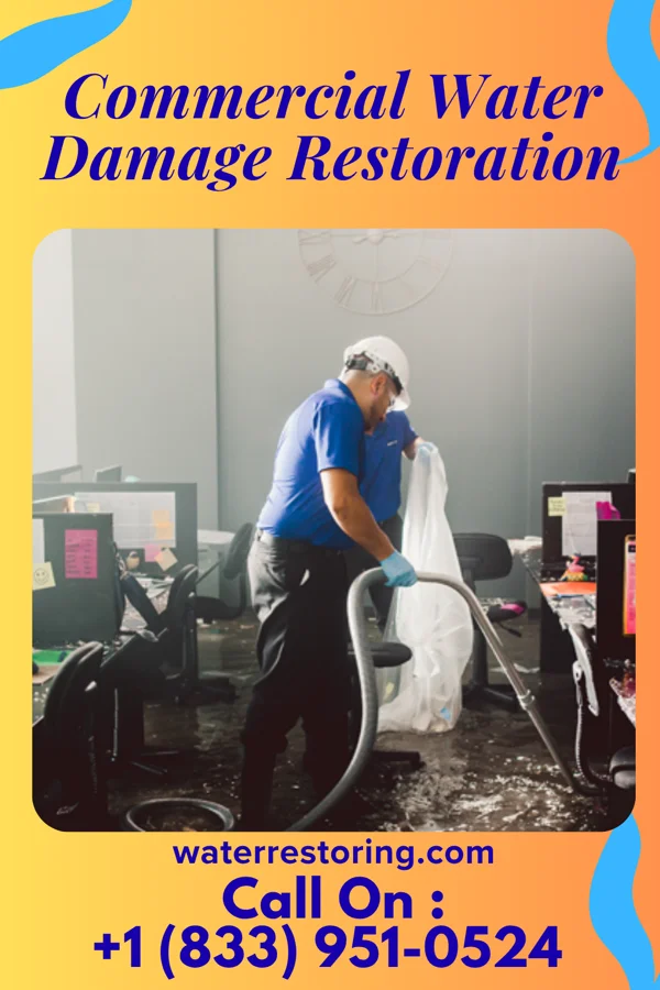Commercial Water Damage Restoration in Crescent City, IL
