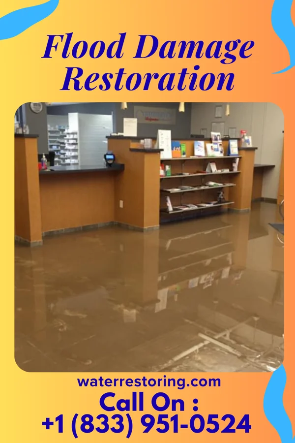 Flood Damage Restoration in Crescent City, IL