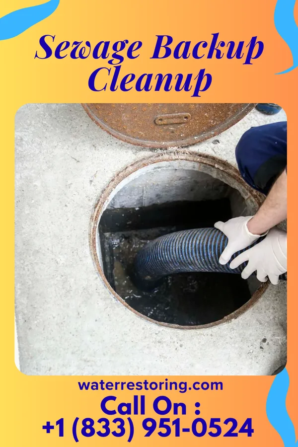 Sewage Backup Cleanup in Crescent City, IL